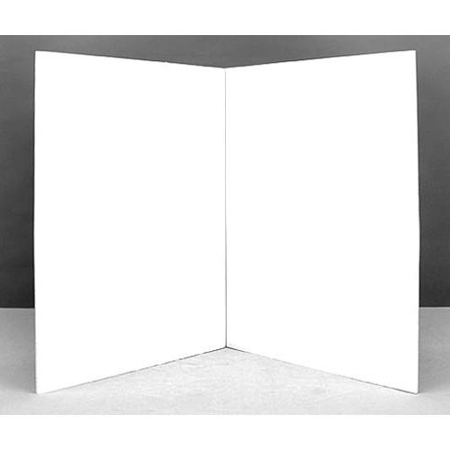 Lowel Ego Digital Imaging Fluorescent Light