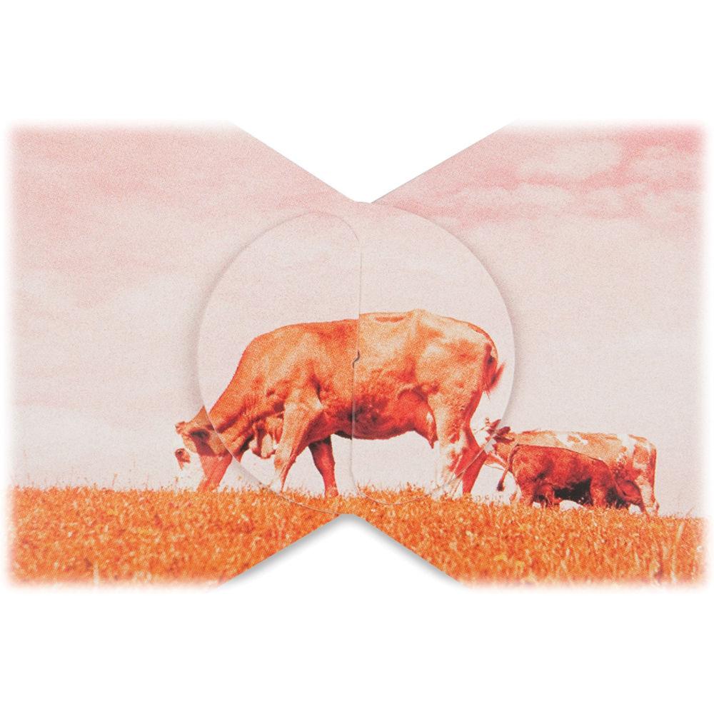 Lomography Journey Frame Big Square