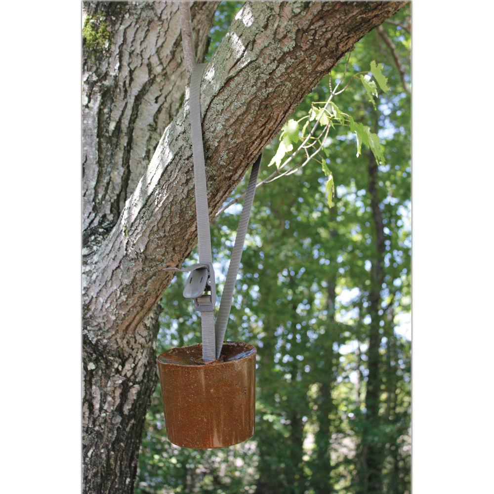 Moultrie Camera Candy