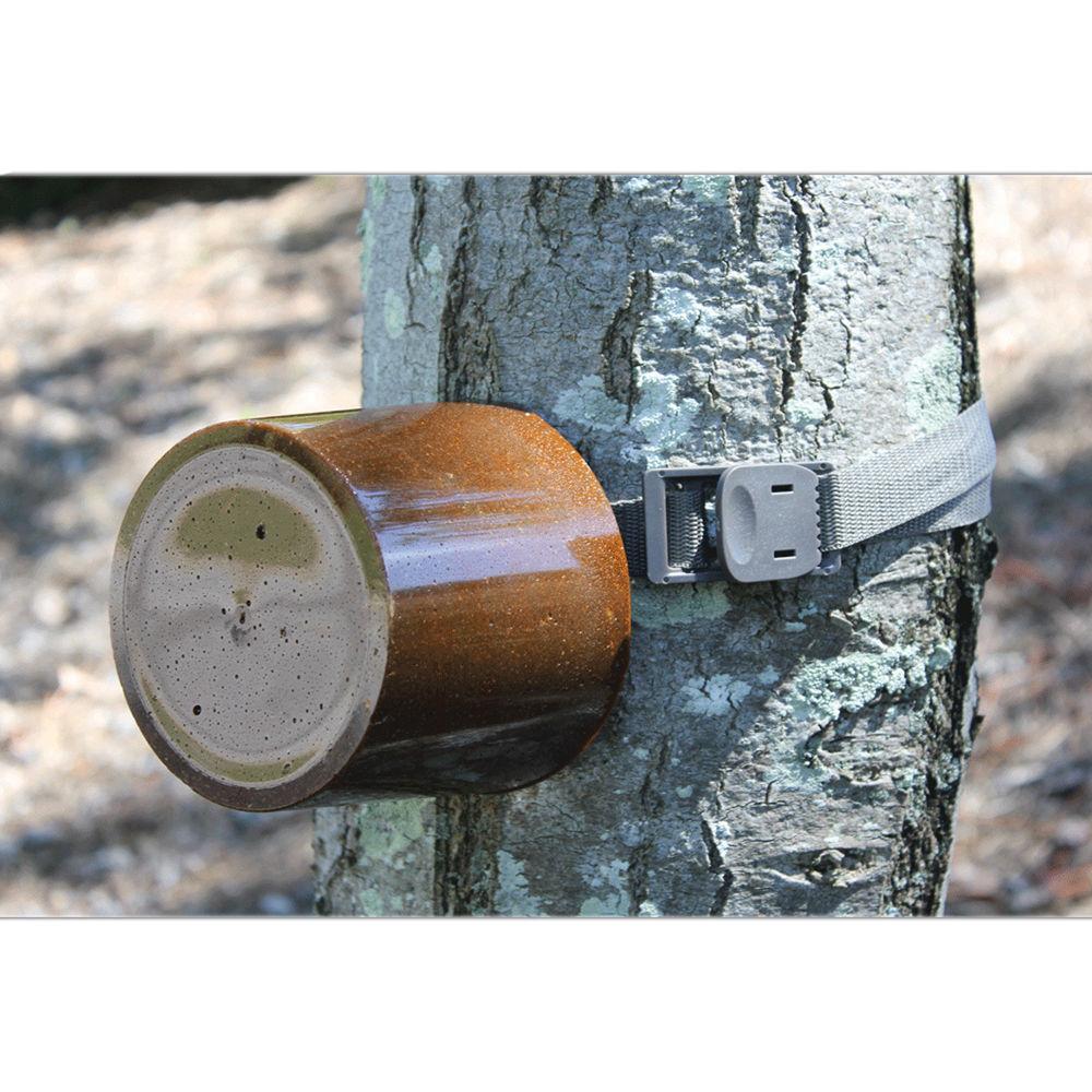 Moultrie Camera Candy