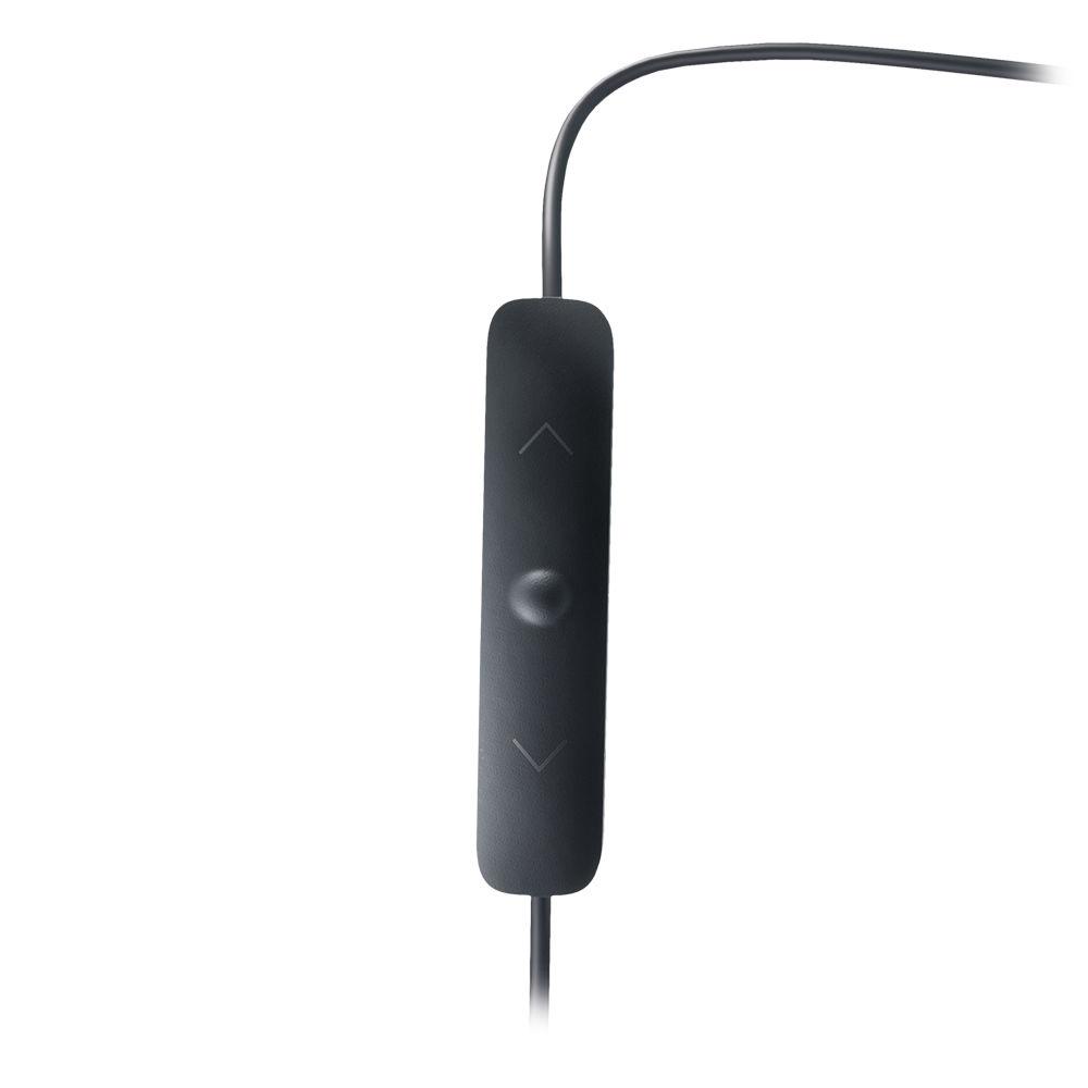 JBL Everest 100 Wireless Earbuds