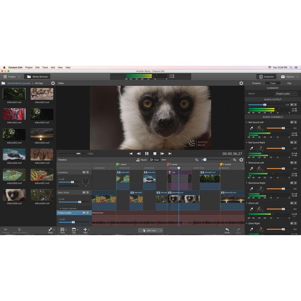 Sony Catalyst Production Suite