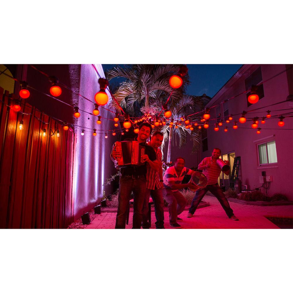 CHAUVET DJ Festoon - Outdoor RGB LED Light String