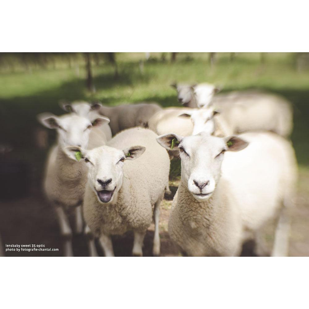 Lensbaby Composer Pro II with Sweet 35 Optic for Pentax K