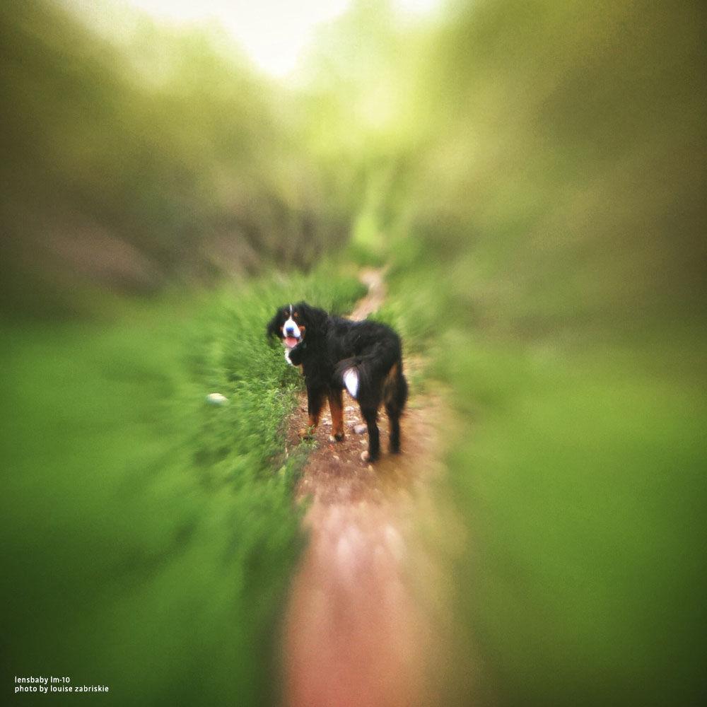 Lensbaby Deluxe Creative Mobile Lens Kit for iPhone 7