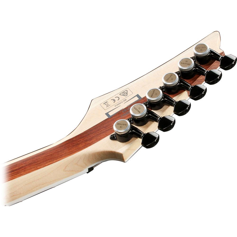 Ibanez RGAIX6U RGA Iron Label Series Electric Guitar