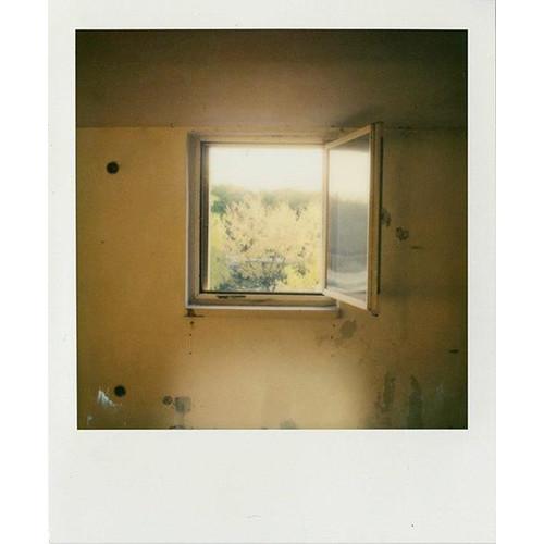 Impossible 600 Triple Pack of Instant Film