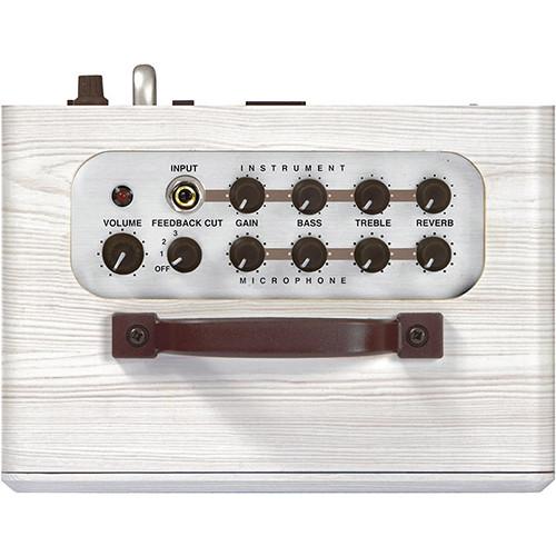 ZT Amplifiers Lunchbox 2-Channel Acoustic Guitar Vocal Amplifier