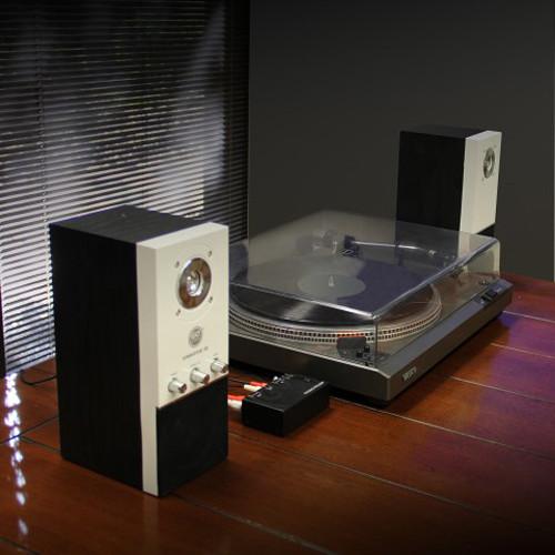 Accessory Power GOgroove Phono Preamp