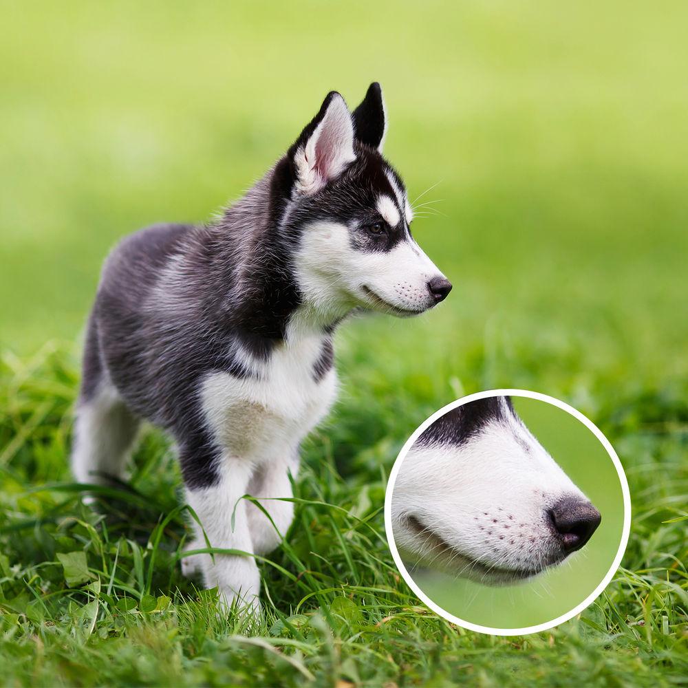 ezviz BN-1G28A3 16-Channel 1080p NVR with 3TB HDD and 8 1080p Outdoor Network Bullet Cameras