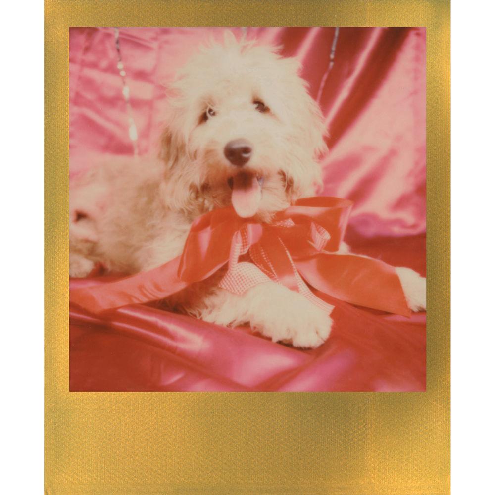 Polaroid Originals Color 600 Instant Film