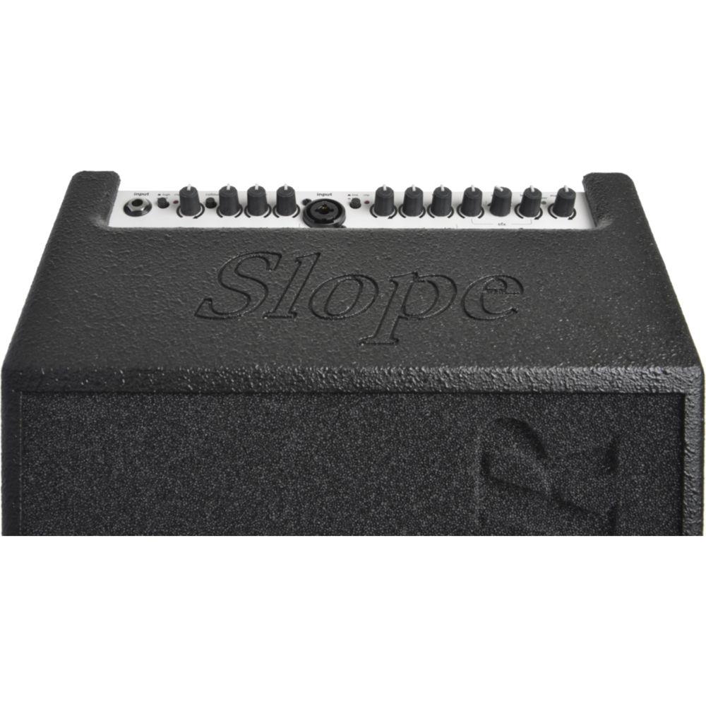 AER Compact Slope 60W 2-Channel Acoustic Guitar Combo Amplifier