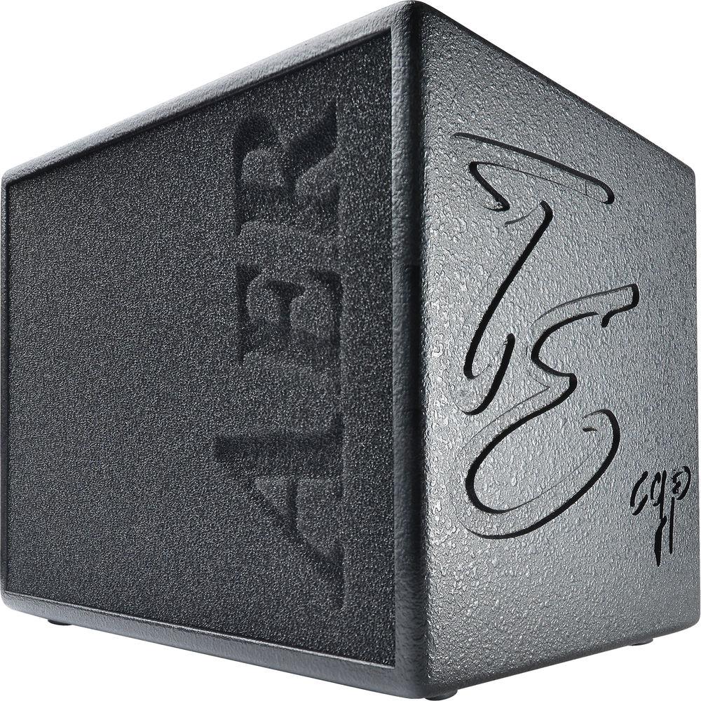 AER Tommy Emmanuel Signature Compact 60 CGP 60W Combination Amplifier for Acoustic Guitars
