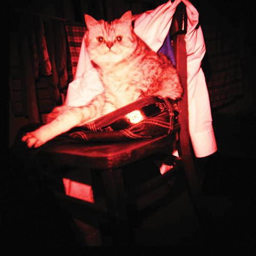 Lomography 55mm Wide Angle Lens & Dedicated Close-Up Lens for Diana