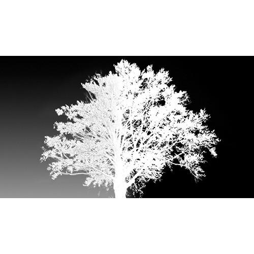 Red Giant Composite Wizard Upgrade