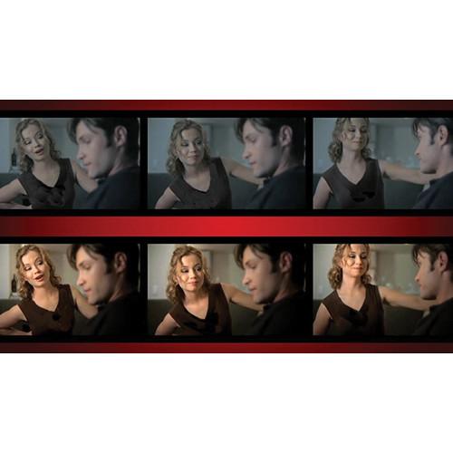 Red Giant Magic Bullet Colorista