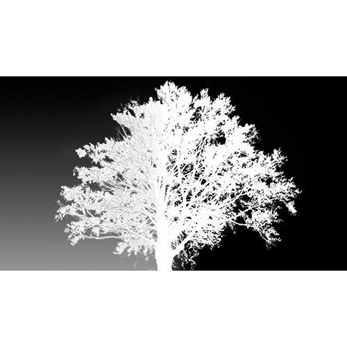 Red Giant Composite Wizard