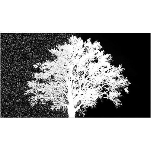 Red Giant Key Correct