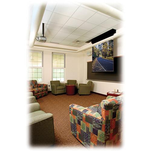 Draper 115010 Rolleramic Motorized Projection Screen