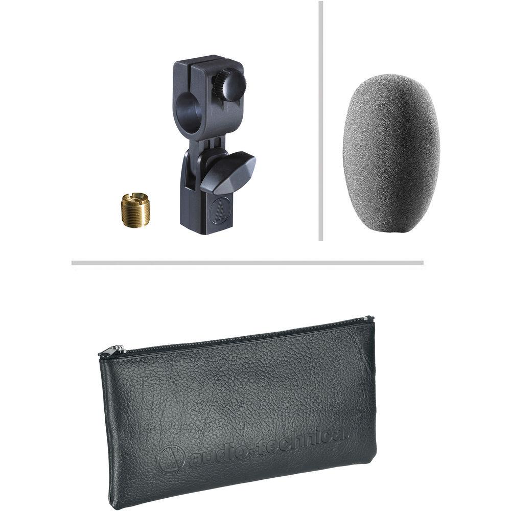 Audio-Technica AE-5100 - Large-Diaphragm Cardioid Instrument Microphone