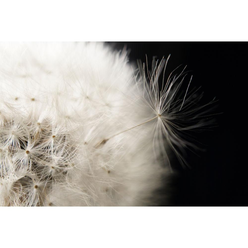 Sony DT 30mm f 2.8 Macro SAM Lens