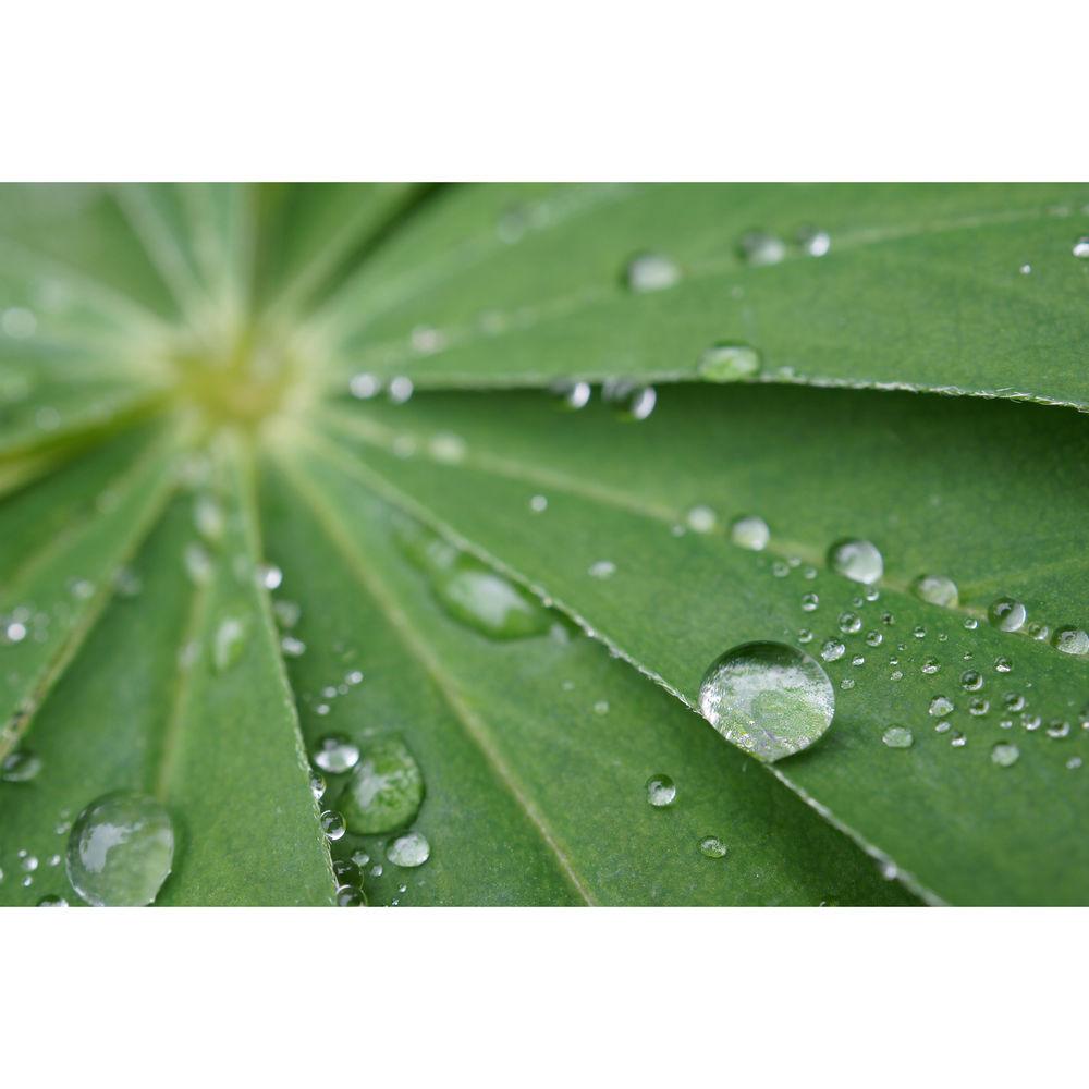 Sony DT 30mm f 2.8 Macro SAM Lens