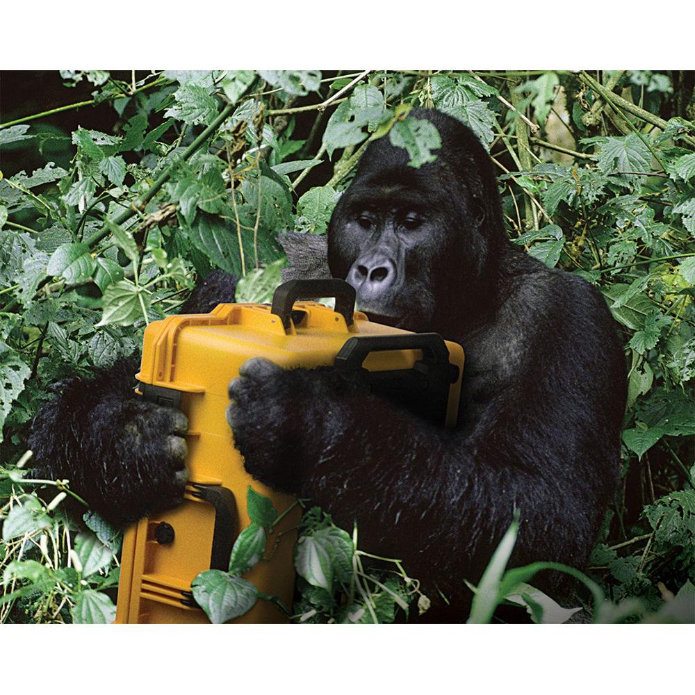 Pelican iM2720 Storm Trak Case with Padded Dividers