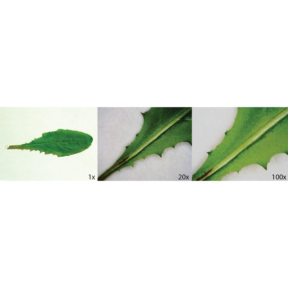 Celestron PentaView 5.0MP Cordless Digital Microscope