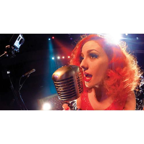 GoPro Mic Stand Mount