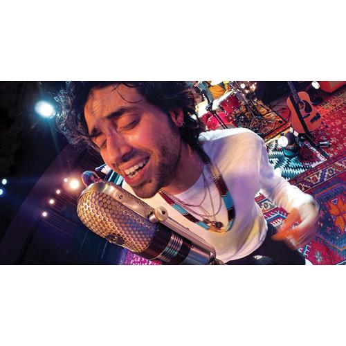 GoPro Mic Stand Mount